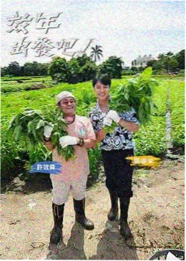 向往的生活 影音先锋在线观看视频